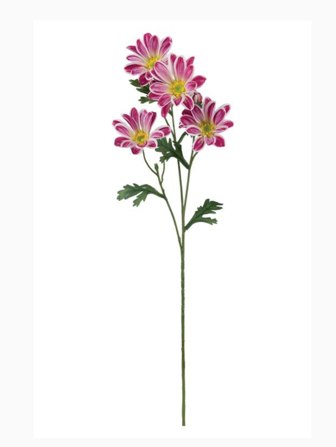 Artificial, Daisy Flower Spray - Magenta - Greenery Market6482 - MAG