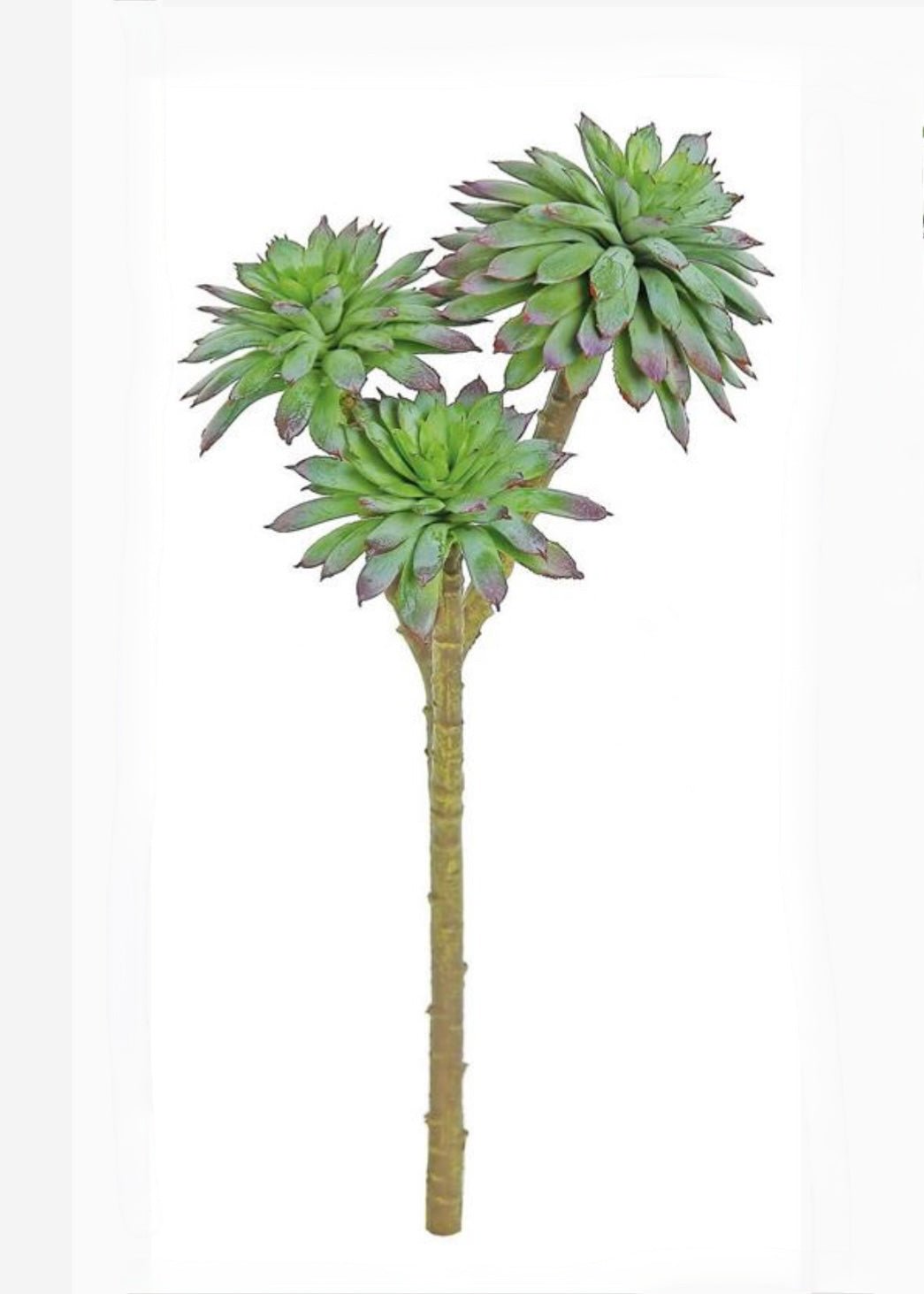 Artificial Daisy Succulent Pick - Greenery MarketFL5383 - SGPU