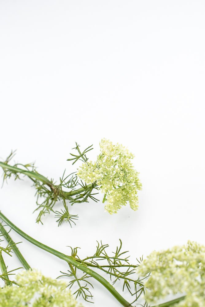 Artificial, Dill Weed Spray - green - Greenery MarketMTF24410 GRN