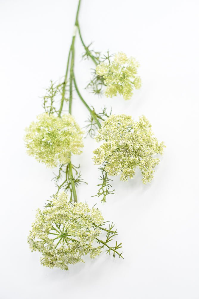 Artificial, Dill Weed Spray - green - Greenery MarketMTF24410 GRN