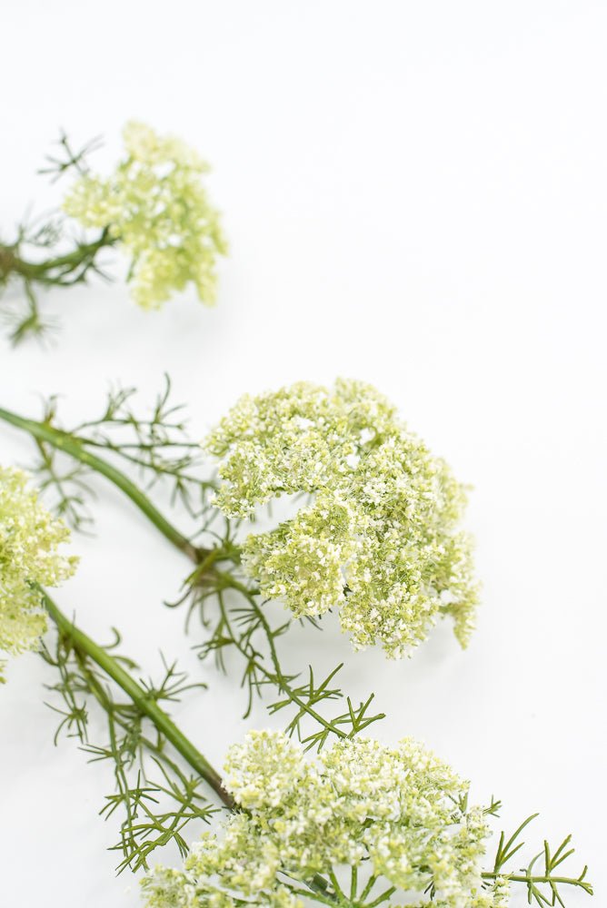 Artificial, Dill Weed Spray - green - Greenery MarketMTF24410 GRN