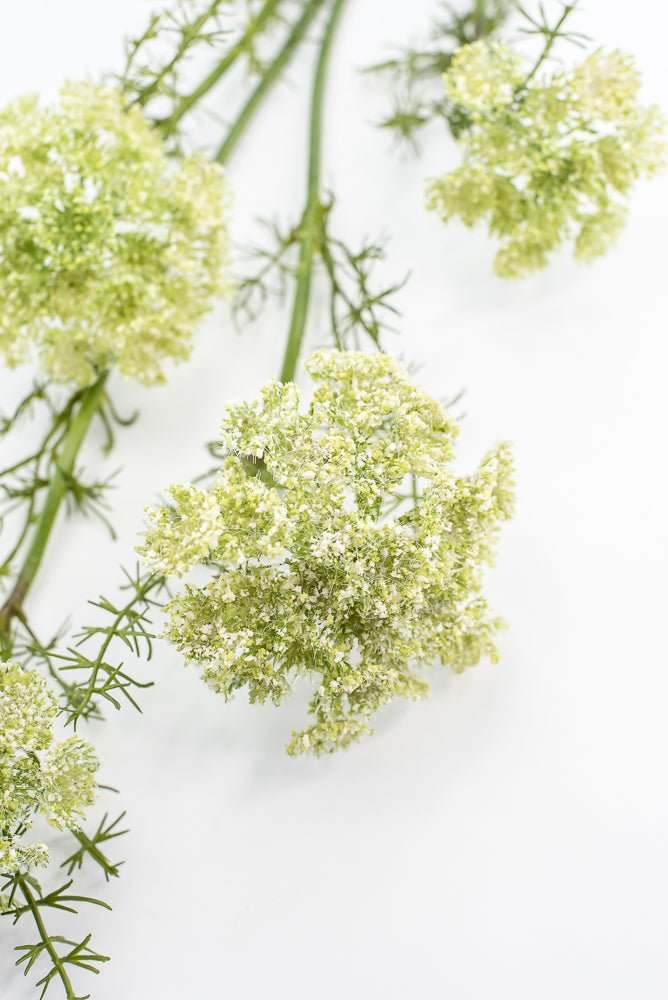 Artificial, Dill Weed Spray - green - Greenery MarketMTF24410 GRN