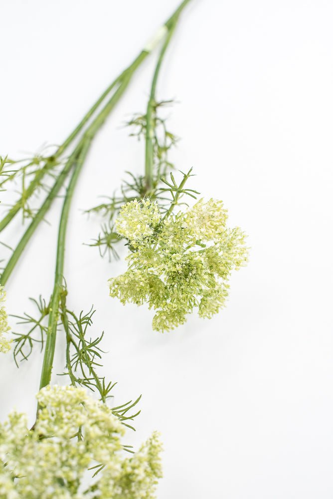 Artificial, Dill Weed Spray - green - Greenery MarketMTF24410 GRN