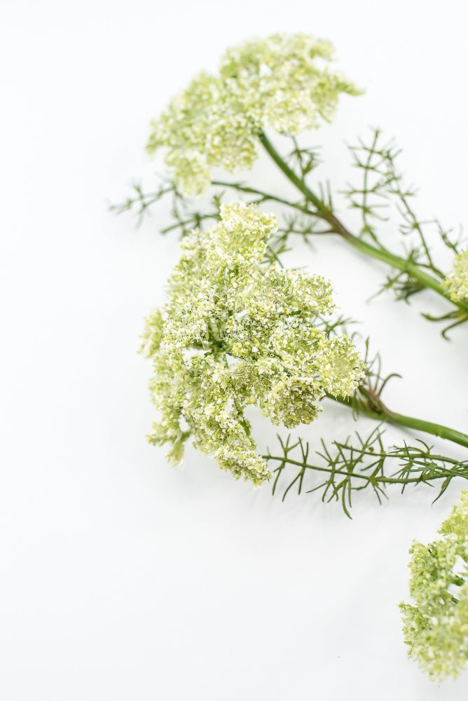 Artificial, Dill Weed Spray - green - Greenery MarketMTF24410 GRN