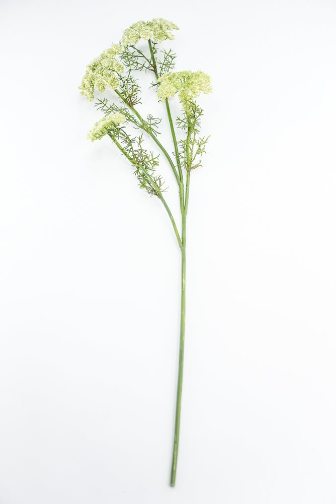 Artificial, Dill Weed Spray - green - Greenery MarketMTF24410 GRN