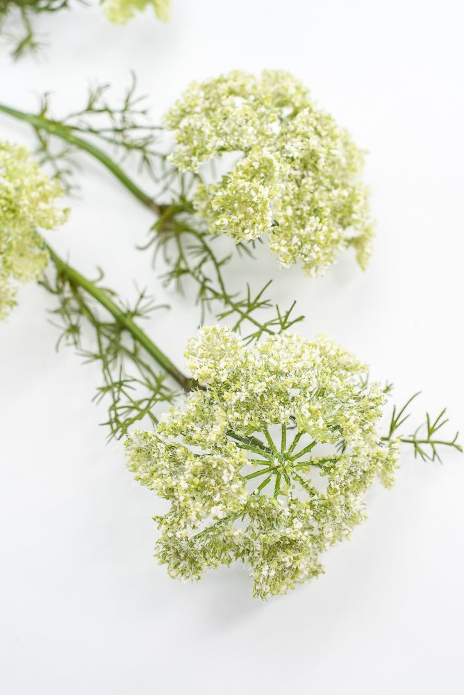 Artificial, Dill Weed Spray - green - Greenery MarketMTF24410 GRN
