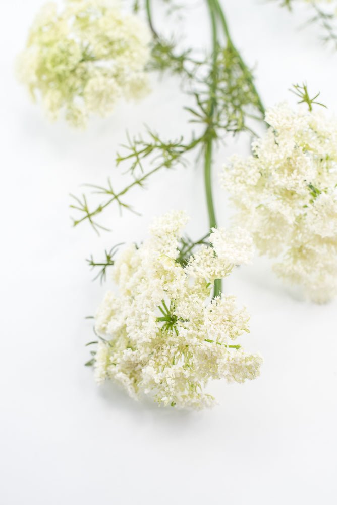 Artificial, Dill Weed Spray - White - Greenery MarketMTF24410 WHT