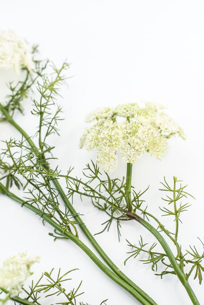 Artificial, Dill Weed Spray - White - Greenery MarketMTF24410 WHT