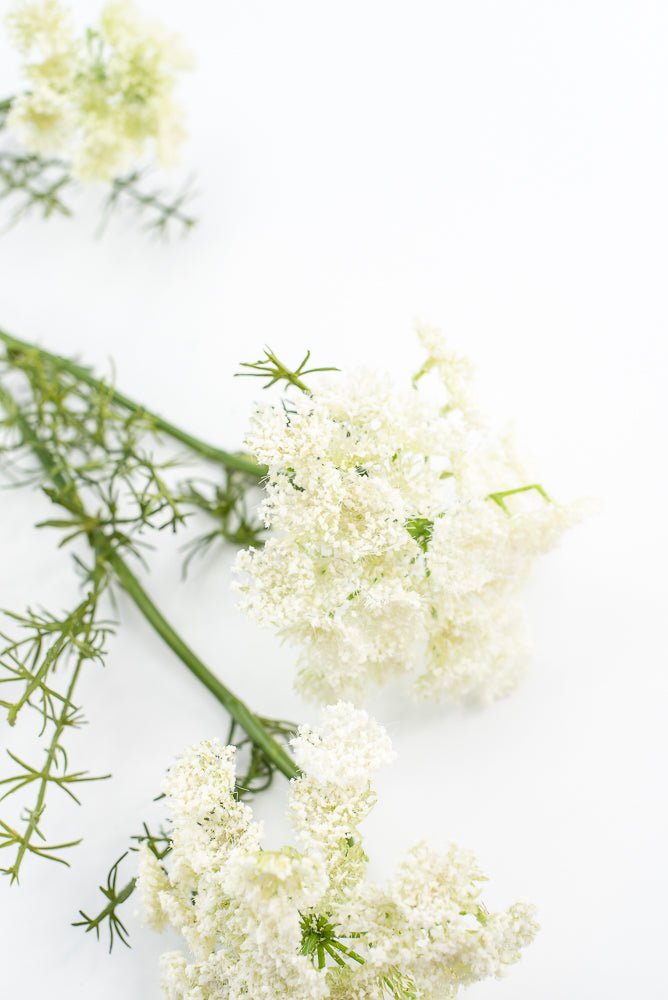 Artificial, Dill Weed Spray - White - Greenery MarketMTF24410 WHT