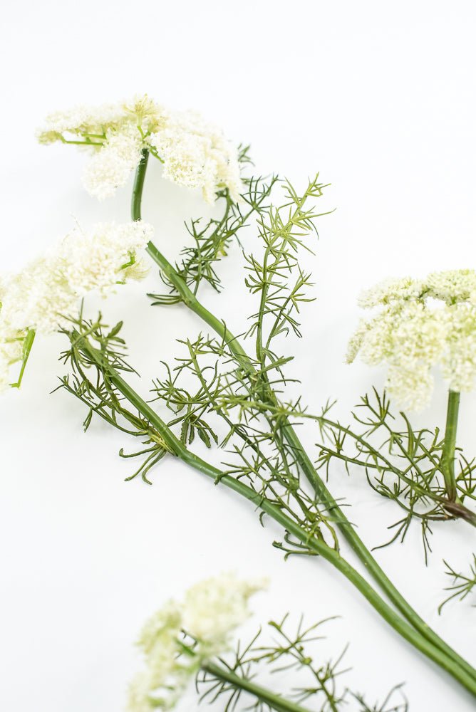 Artificial, Dill Weed Spray - White - Greenery MarketMTF24410 WHT