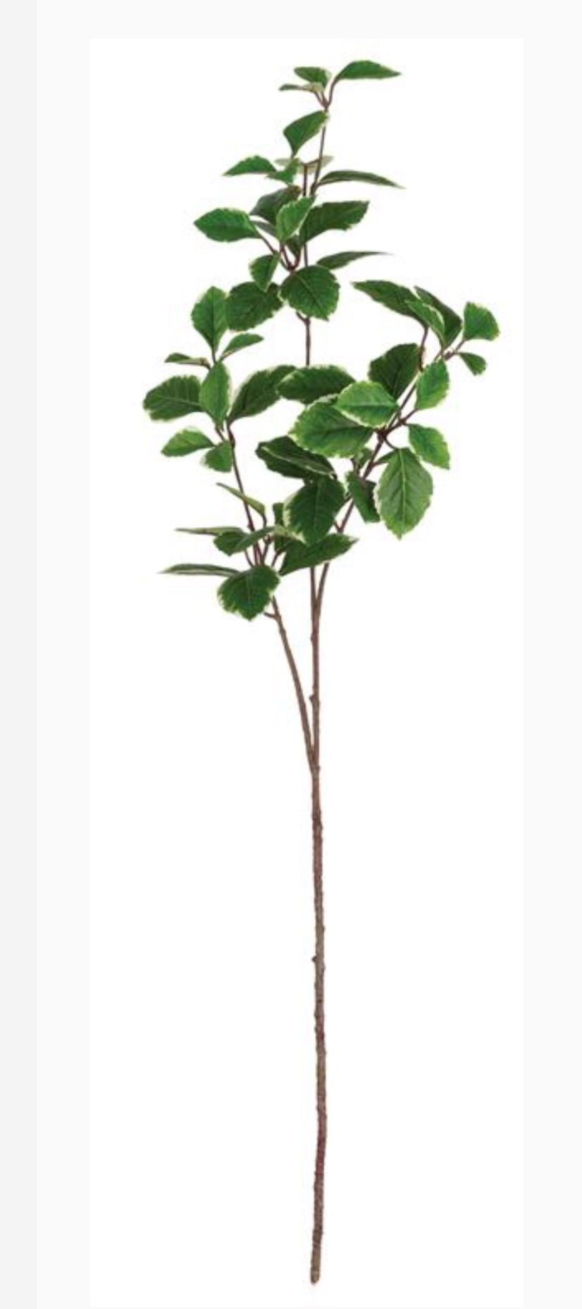 Artificial, Euonymus spray - Greenery MarketFL6852 - GC