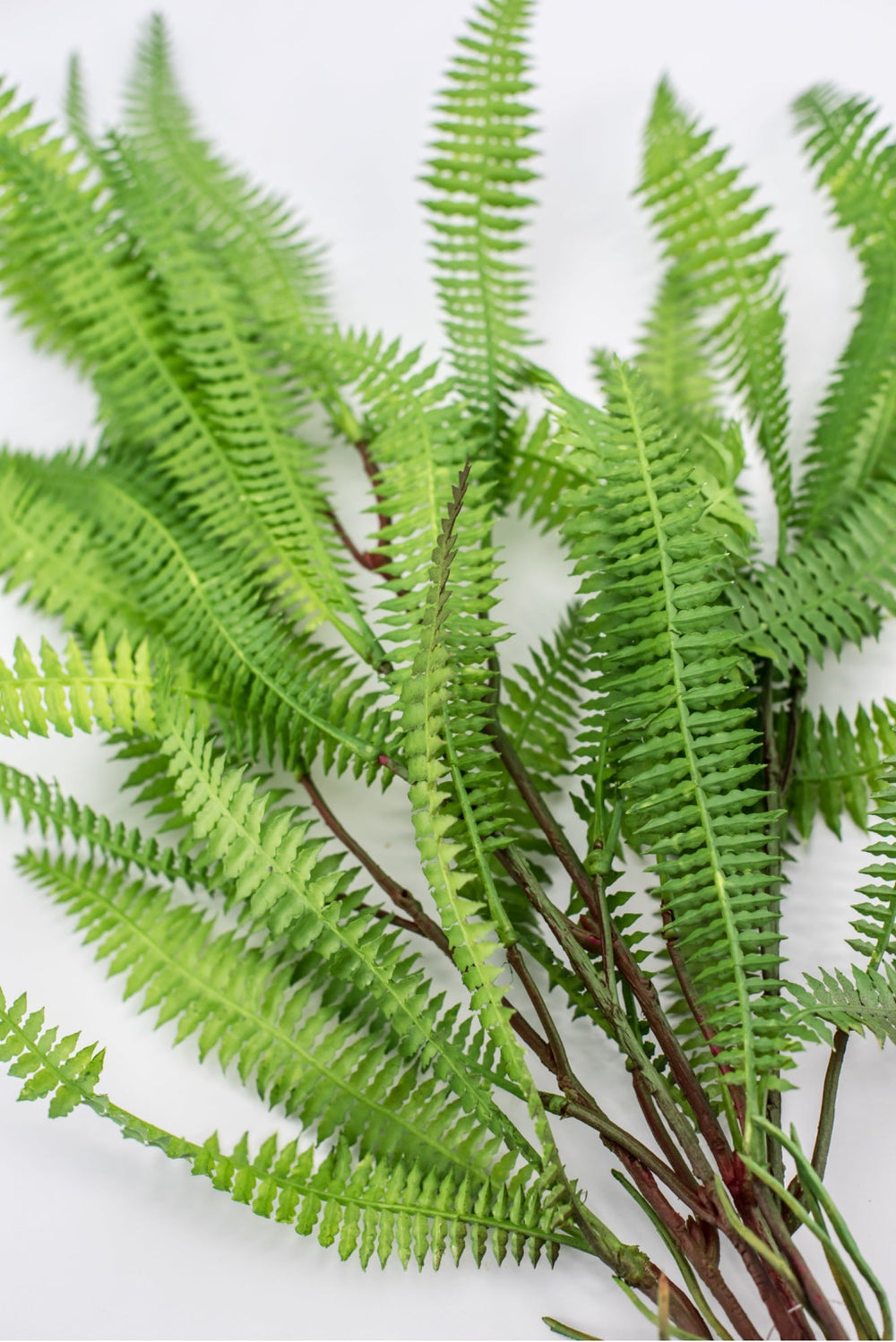 Artificial, feather fern plant - Greenery MarketMTF23386
