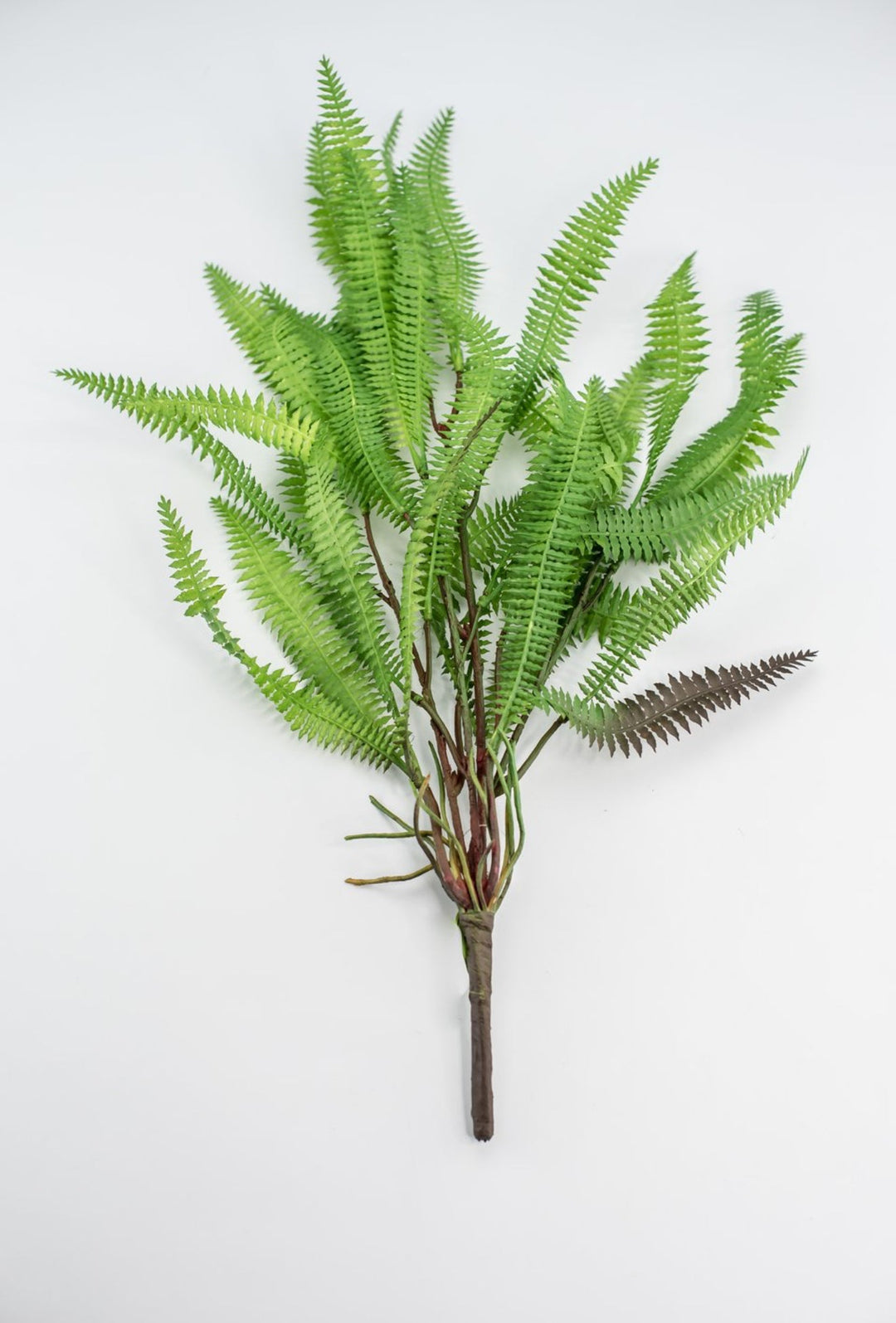 Artificial, feather fern plant - Greenery MarketMTF23386