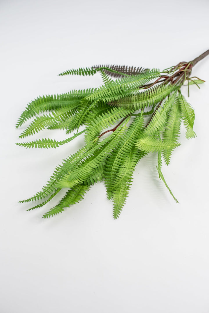 Artificial, feather fern plant - Greenery MarketMTF23386