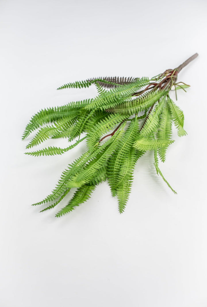 Artificial, feather fern plant - Greenery MarketMTF23386