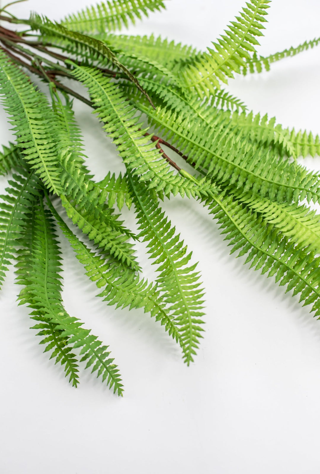 Artificial, feather fern plant - Greenery MarketMTF23386