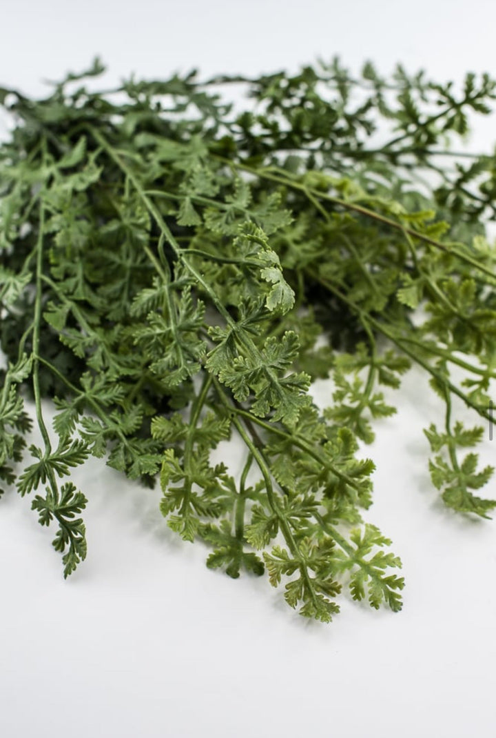Artificial featherfew greenery bush - Greenery MarketFL6520/L - MIXG