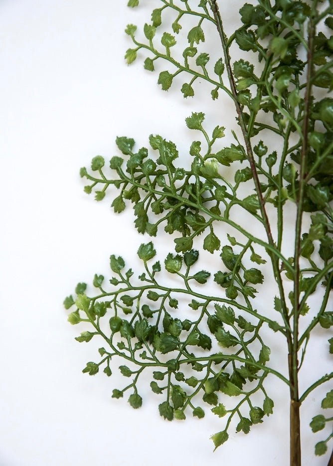 Artificial fine maidenhair fern bundle - Greenery MarketFl2284 g