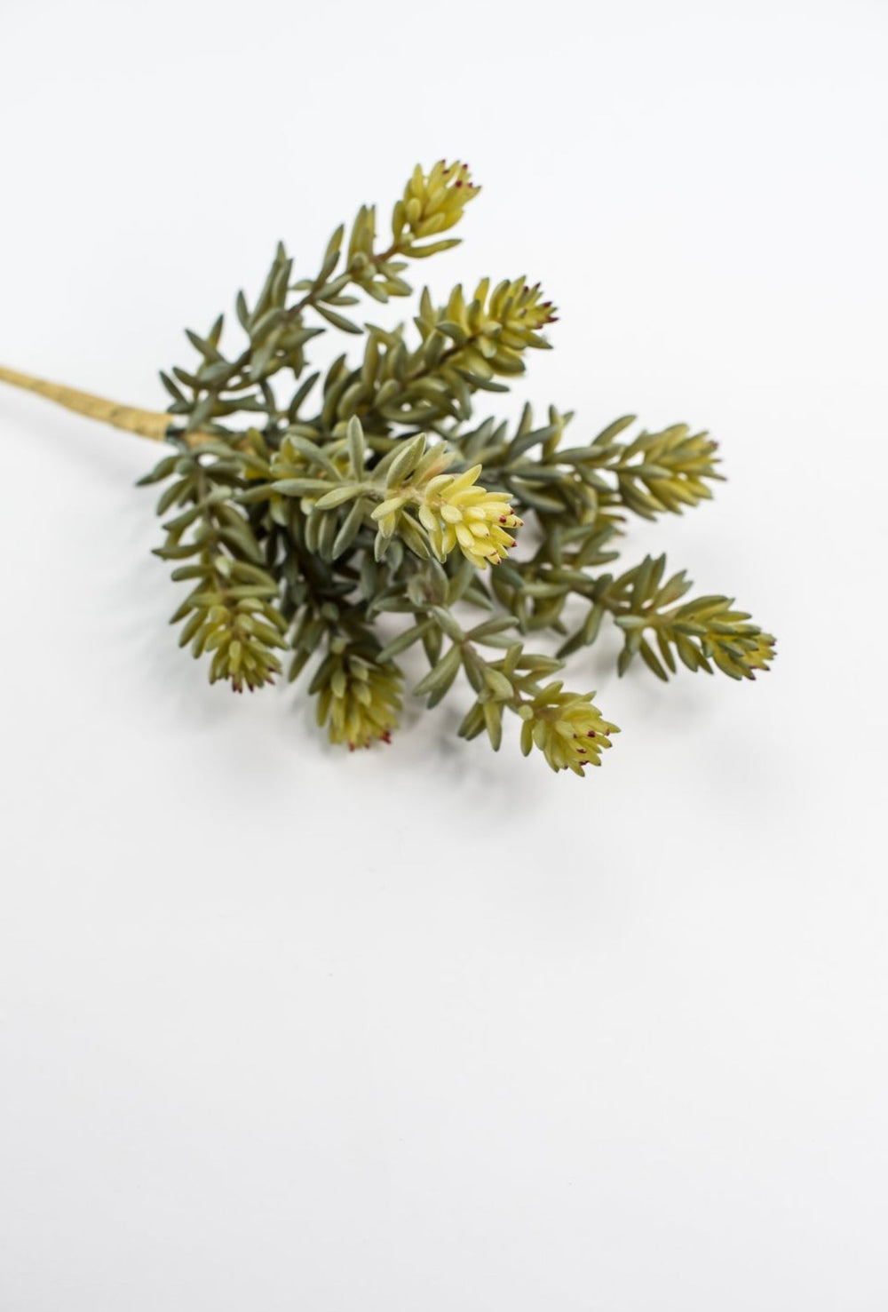 Artificial finger succulent pick - Greenery MarketArtificial SucculentsMTF22189