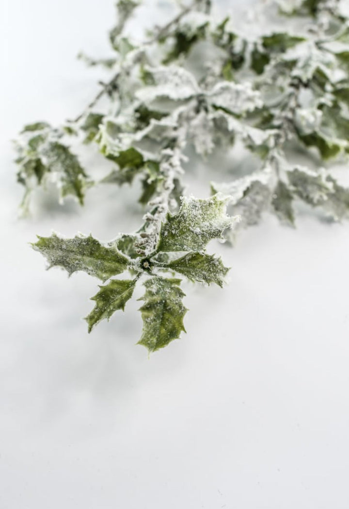 Artificial, frosted, holly greenery spray - Greenery Marketgreenery231826