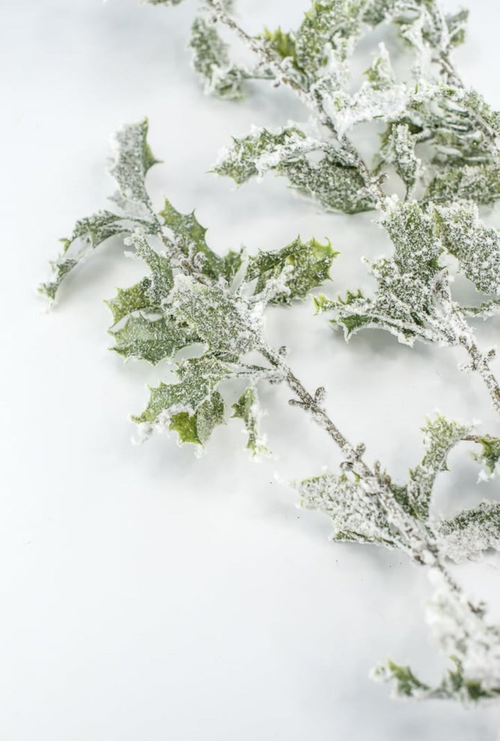 Artificial, frosted, holly greenery spray - Greenery Marketgreenery231826