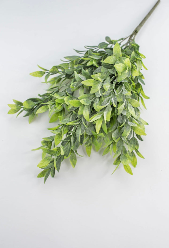 Artificial, Green, Ruscus Greenery Bush - Greenery Marketgreenery81580