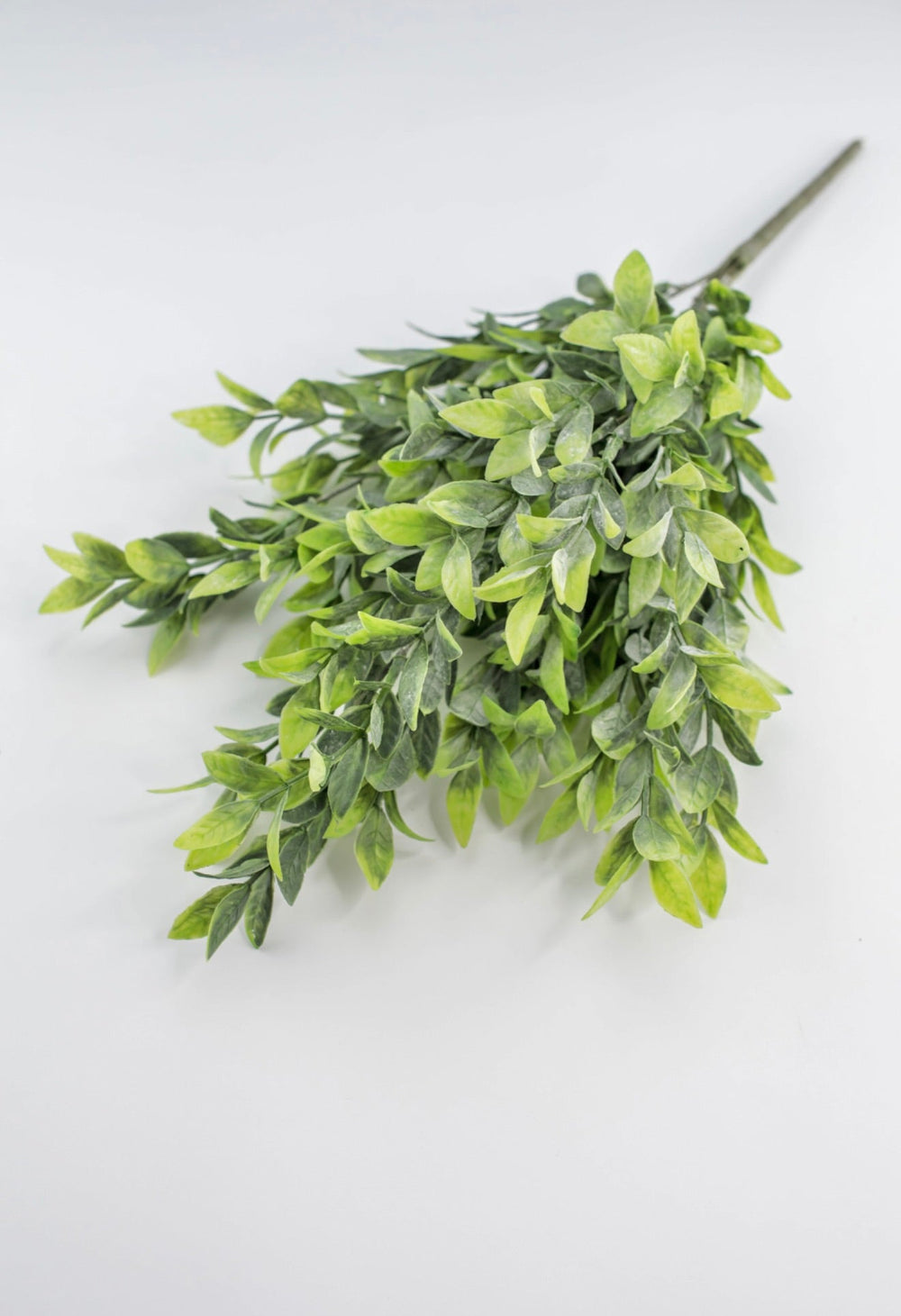 Artificial, Green, Ruscus Greenery Bush - Greenery Marketgreenery81580