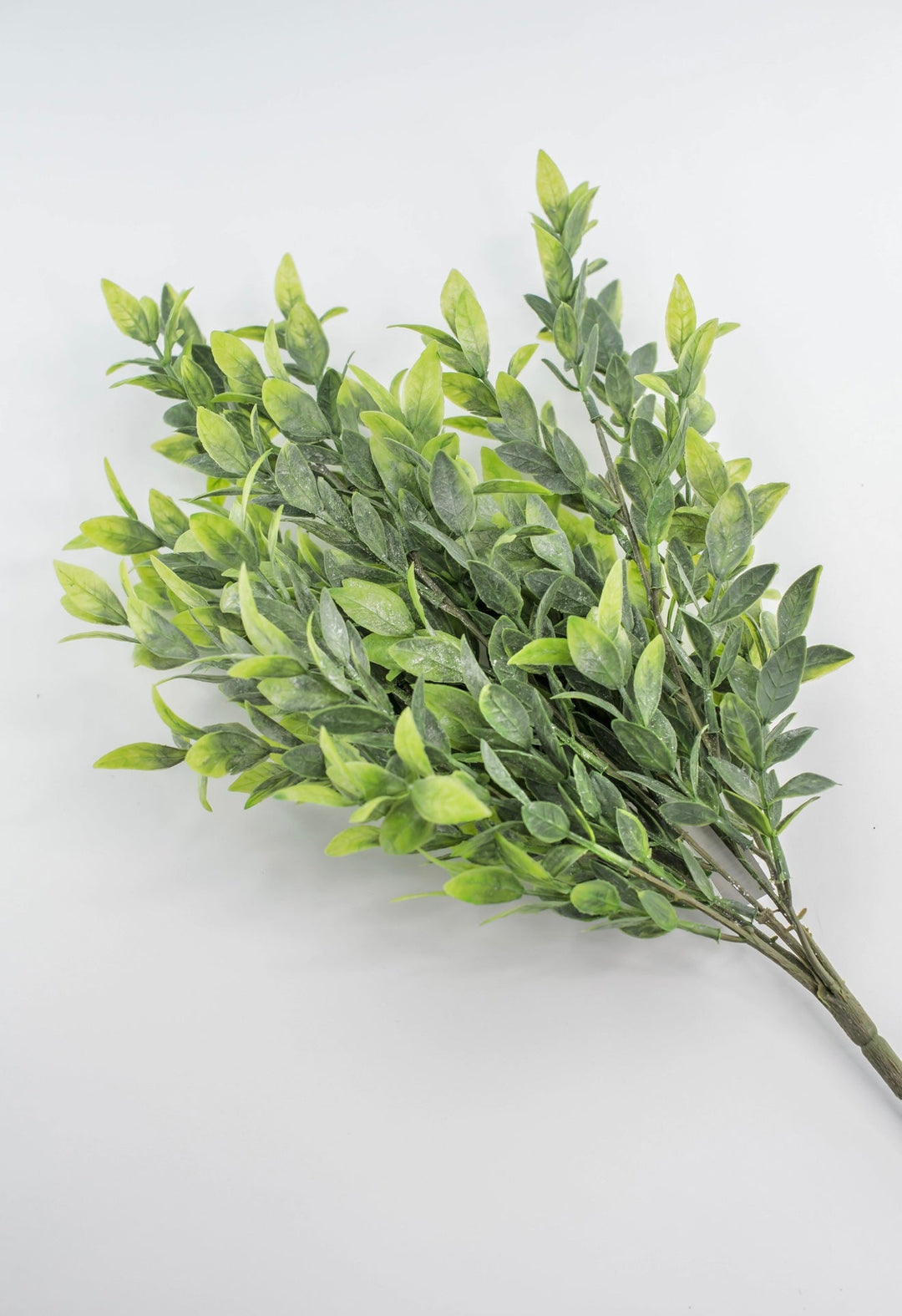 Artificial, Green, Ruscus Greenery Bush - Greenery Marketgreenery81580