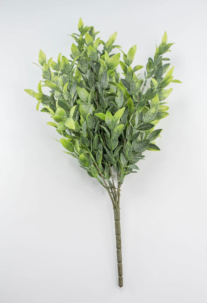 Artificial, Green, Ruscus Greenery Bush - Greenery Marketgreenery81580