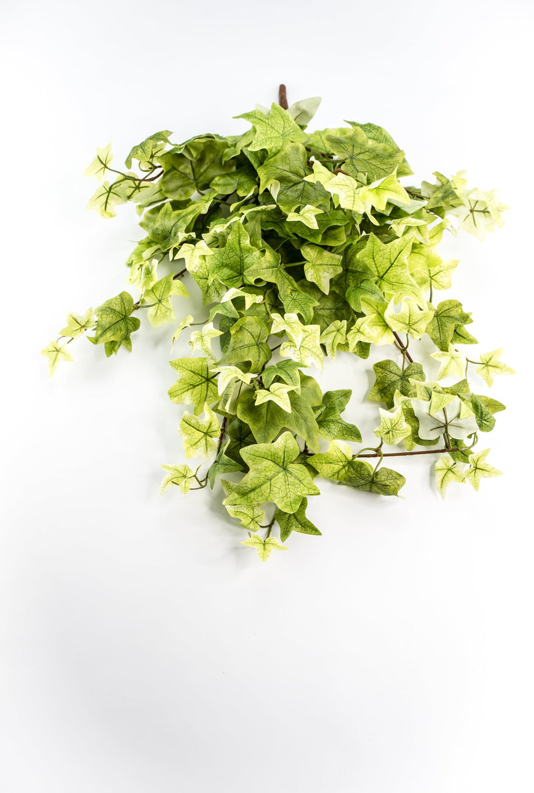 Artificial, hanging, Ivy bush - Greenery MarketArtificial FloraMTF21079 LTGN