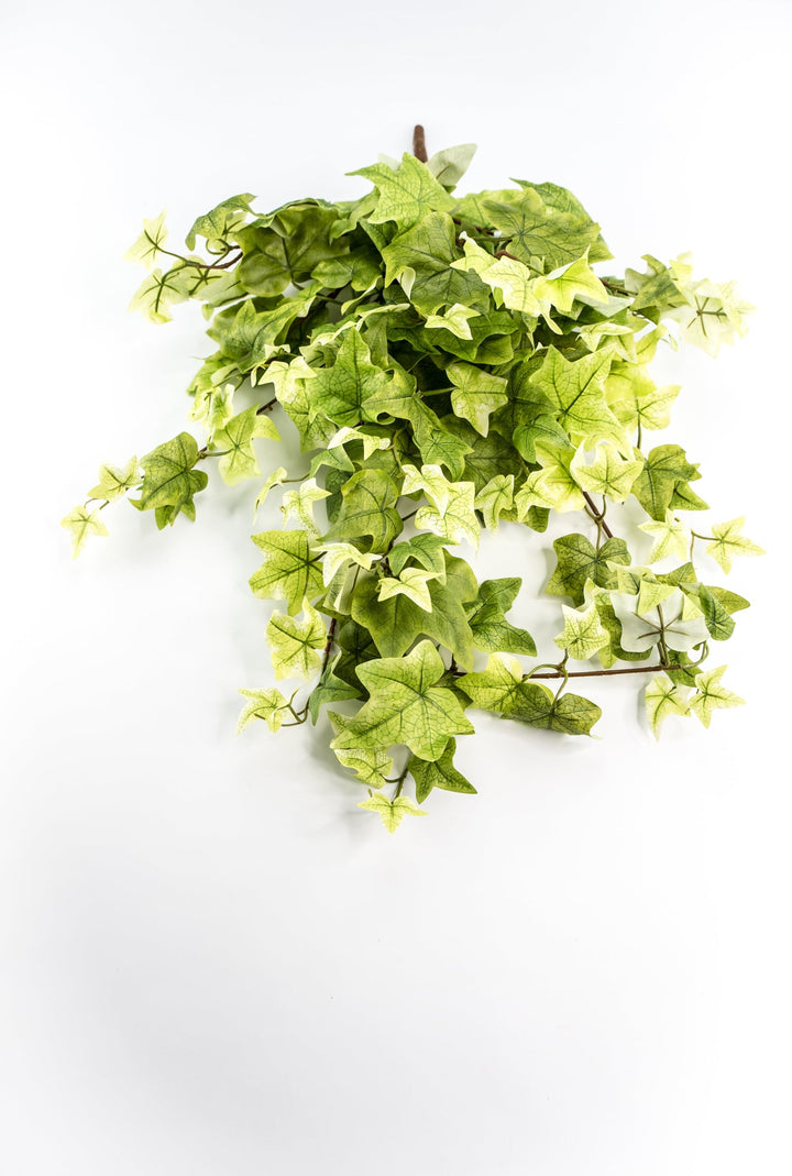 Artificial, hanging, Ivy bush - Greenery MarketArtificial FloraMTF21079 LTGN