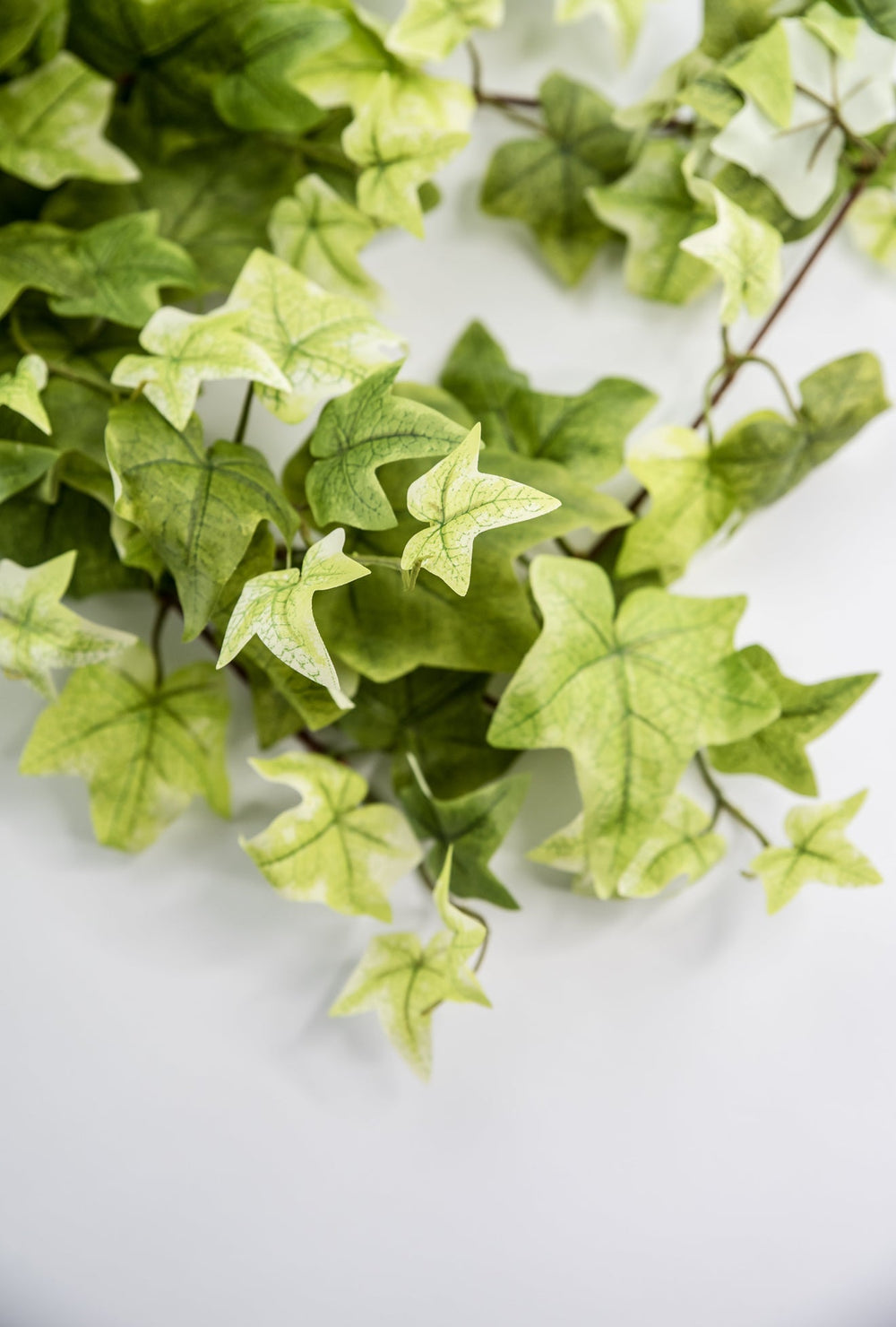 Artificial, hanging, Ivy bush - Greenery MarketArtificial FloraMTF21079 LTGN