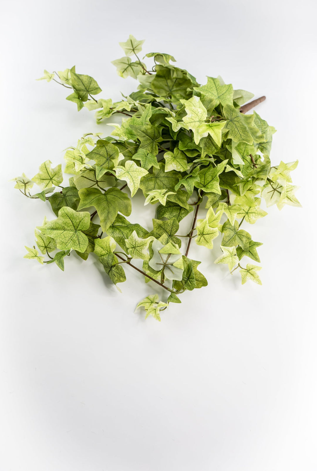 Artificial, hanging, Ivy bush - Greenery MarketArtificial FloraMTF21079 LTGN