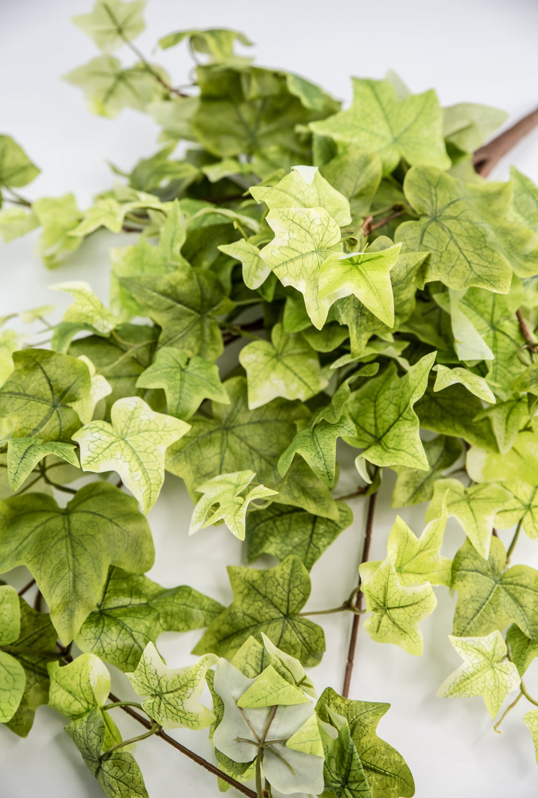 Artificial, hanging, Ivy bush - Greenery MarketArtificial FloraMTF21079 LTGN