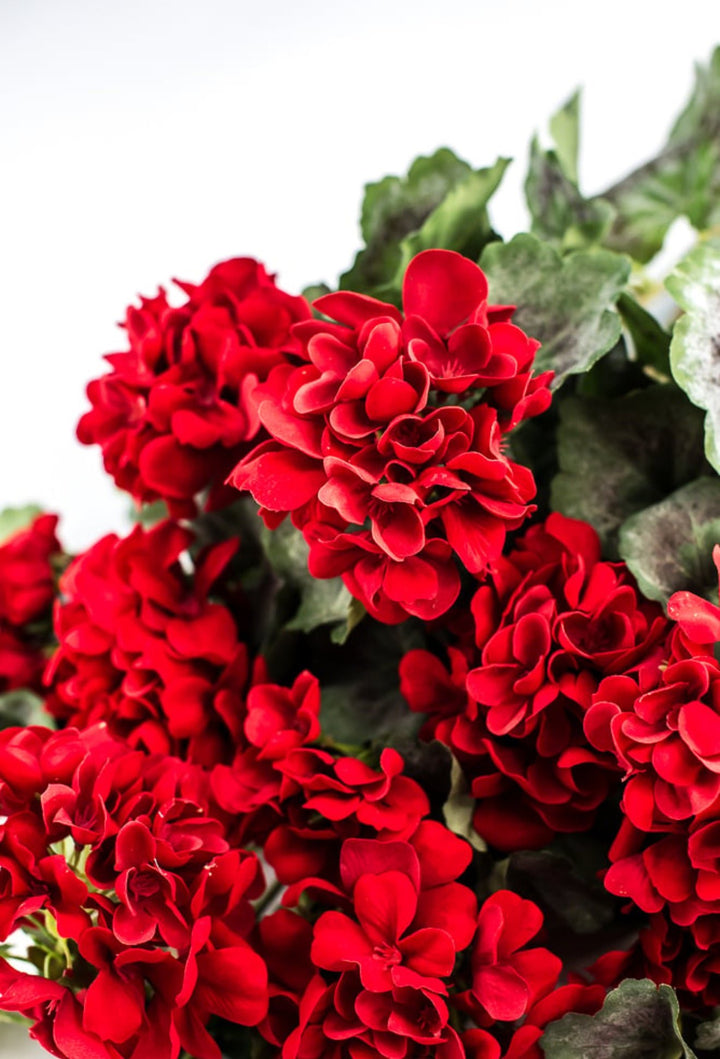 Artificial, hanging Red Geranium, large bush - Greenery Marketartificial flowersMTF21533 RED