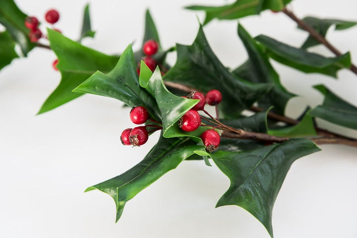 Artificial holly and red berries spray - Greenery Marketgreenery2825147GR