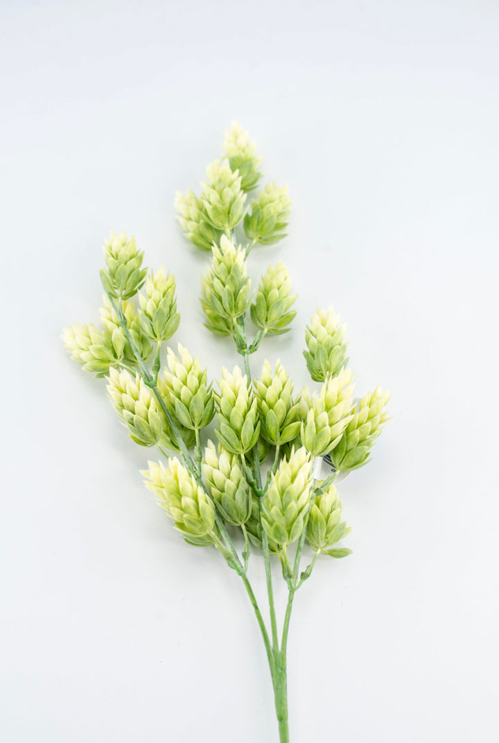 Artificial, hops spray, green cream - Greenery MarketArtificial FloraPSH915 - GR/CR