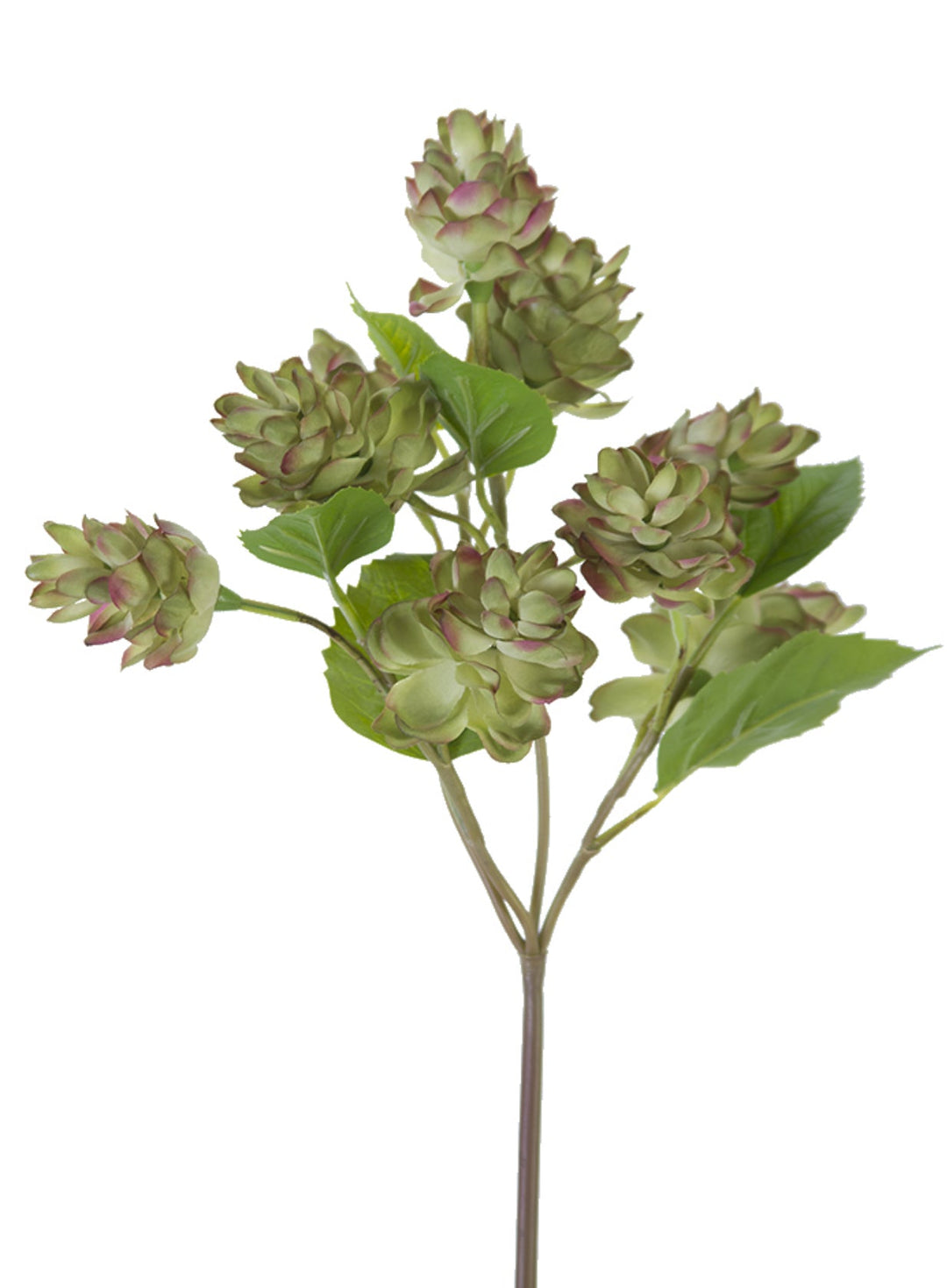 Artificial, hops spray, green pink - Greenery MarketArtificial Flora2268019LG
