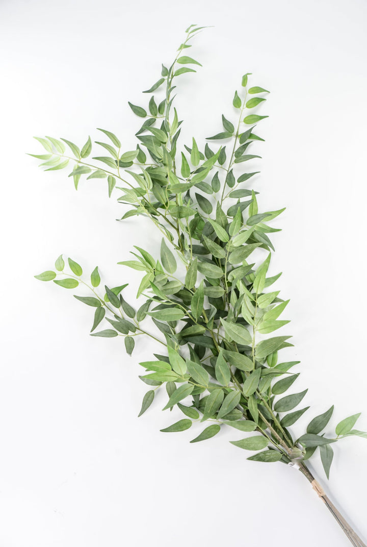 Artificial Italian Ruscus Bundle - Greenery MarketPBR148 - GR/GY