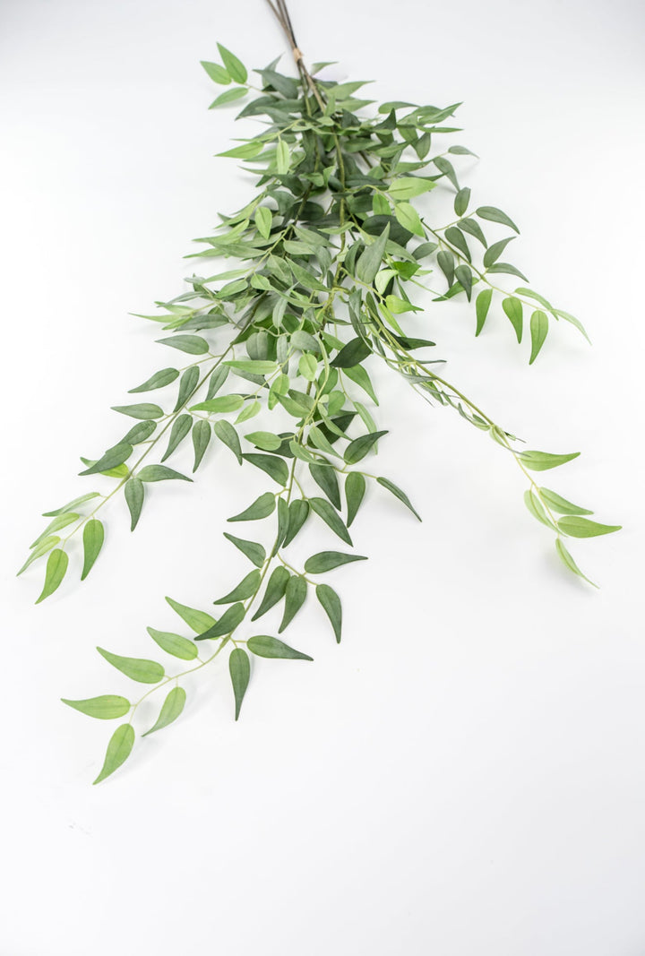 Artificial Italian Ruscus Bundle - Greenery MarketPBR148 - GR/GY