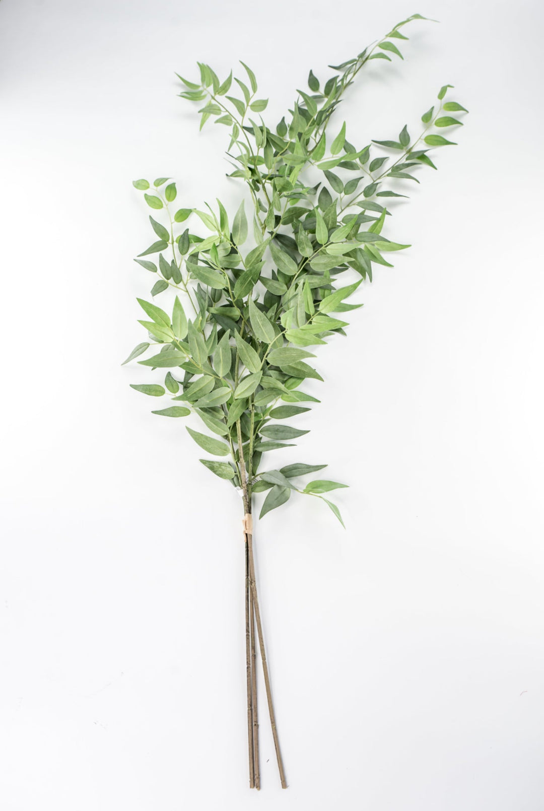 Artificial Italian Ruscus Bundle - Greenery MarketPBR148 - GR/GY