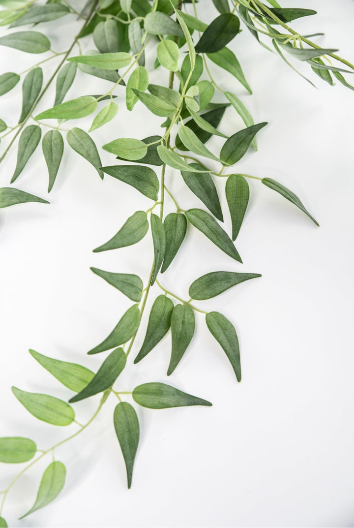 Artificial Italian Ruscus Bundle - Greenery MarketPBR148 - GR/GY