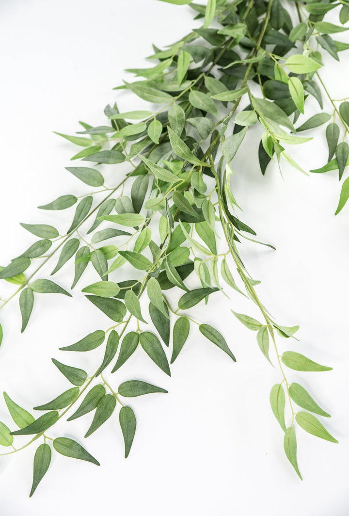 Artificial Italian Ruscus Bundle - Greenery MarketPBR148 - GR/GY