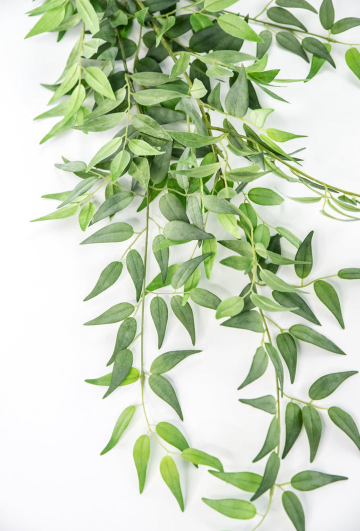 Artificial Italian Ruscus Bundle - Greenery MarketPBR148 - GR/GY