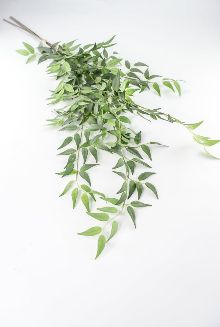 Artificial Italian Ruscus Bundle - Greenery MarketPBR148 - GR/GY