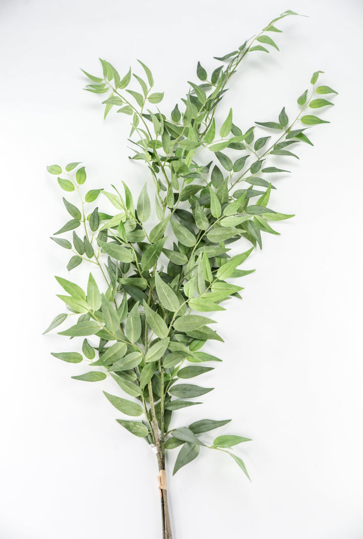 Artificial Italian Ruscus Bundle - Greenery MarketPBR148 - GR/GY