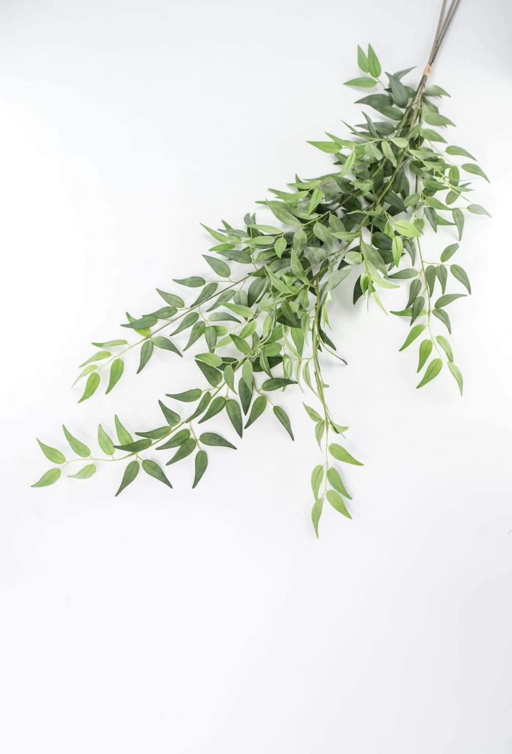 Artificial Italian Ruscus Bundle - Greenery MarketPBR148 - GR/GY