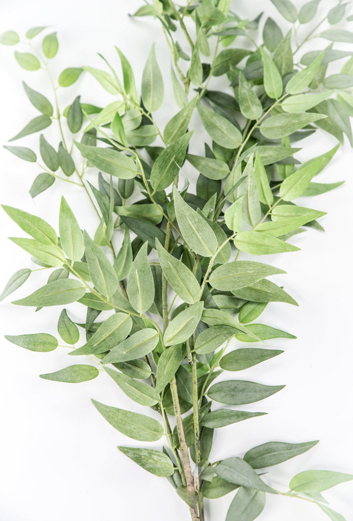 Artificial Italian Ruscus Bundle - Greenery MarketPBR148 - GR/GY