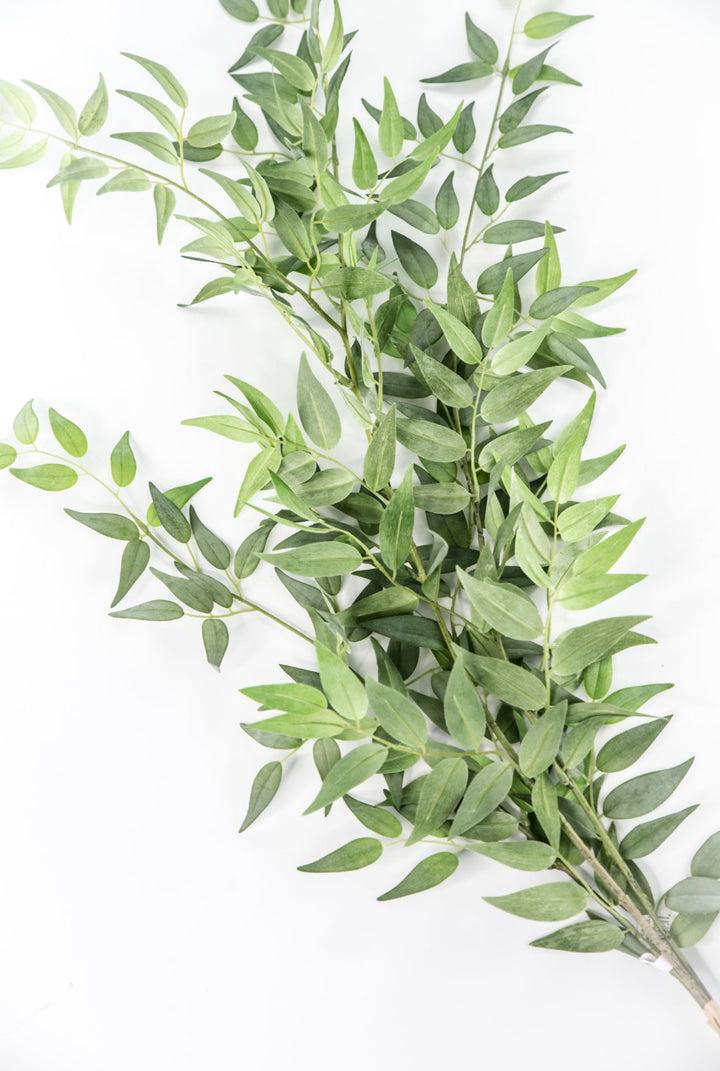 Artificial Italian Ruscus Bundle - Greenery MarketPBR148 - GR/GY