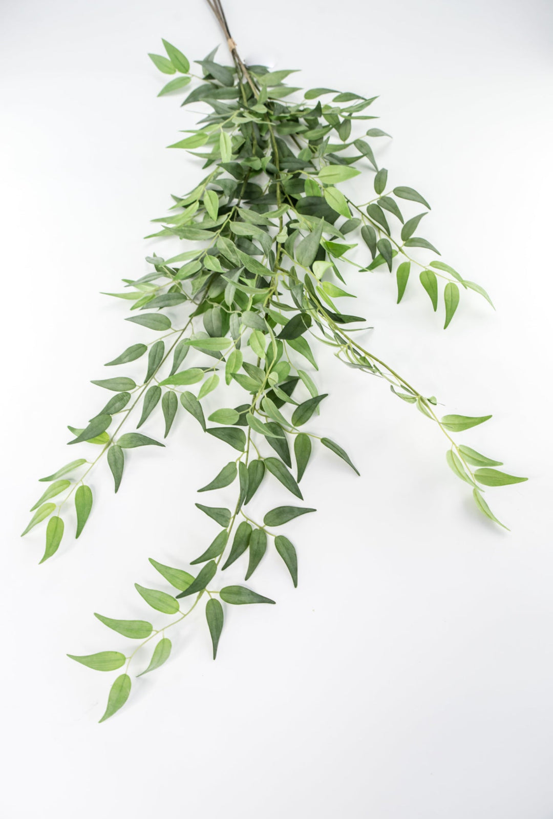 Artificial Italian Ruscus Bundle - Greenery MarketPBR148 - GR/GY
